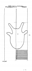 DE2730-PO-56346 - Typ:1 - ID: 21332 - Eintrag Nr.: 16 Wasserzeichen DE2730-PO-56346