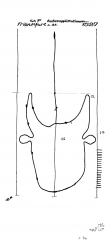 DE2730-PO-56362 - Typ:1 - ID: 21337 - Eintrag Nr.: 21 Wasserzeichen DE2730-PO-56362