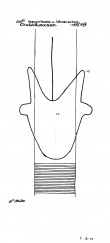 DE2730-PO-56407 - Typ:1 - ID: 21340 - Eintrag Nr.: 24 Wasserzeichen DE2730-PO-56407
