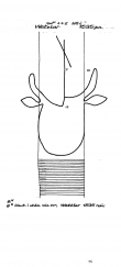 DE2730-PO-61185 - Typ:1 - ID: 21509 - Eintrag Nr.: 801 Wasserzeichen DE2730-PO-61185