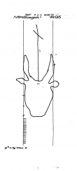 DE2730-PO-61451 - Typ:1 - ID: 21511 - Eintrag Nr.: 802 Wasserzeichen DE2730-PO-61451