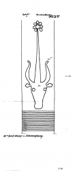 Wasserzeichen DE2730-PO-69848