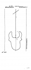 DE2910-PO-58226 - Typ:1 - ID: 23237 - Eintrag Nr.: 818 Wasserzeichen DE2910-PO-58226