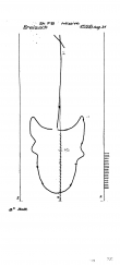 DE2910-PO-58404 - Typ:1 - ID: 23247 - Eintrag Nr.: 828 Wasserzeichen DE2910-PO-58404