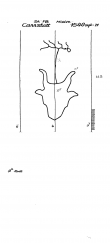 Wasserzeichen DE2910-PO-63805