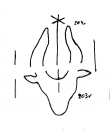 DE3225-Chart_B_1_203 - Typ:0 - ID: 24087 - Eintrag Nr.: 167 Wasserzeichen DE3225-Chart_B_1_203