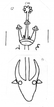 DE3225-Chart_B_30_53 - Typ:0 - ID: 24126 - Eintrag Nr.: 6 Wasserzeichen DE3225-Chart_B_30_53