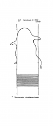 Wasserzeichen DE4215-PO-31916