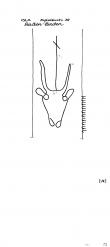 Wasserzeichen DE4215-PO-73964