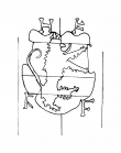 Wasserzeichen DE4230-FolMsMus49m_1