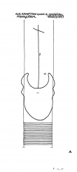 Wasserzeichen DE4305-PO-58333