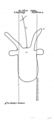 Wasserzeichen DE4500-PO-60985