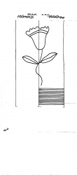 Wasserzeichen DE4620-PO-127166