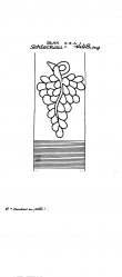 Wasserzeichen DE4620-PO-129061