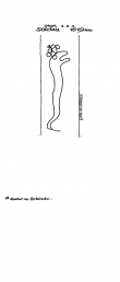 DE4620-PO-43261 - Typ:1 - ID: 36985 - Eintrag Nr.: 41 Wasserzeichen DE4620-PO-43261