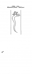 DE4620-PO-43262 - Typ:1 - ID: 36986 - Eintrag Nr.: 42 Wasserzeichen DE4620-PO-43262