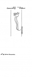 Wasserzeichen DE4620-PO-43292