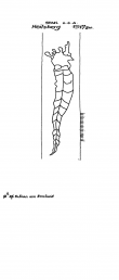 Wasserzeichen DE4620-PO-43325