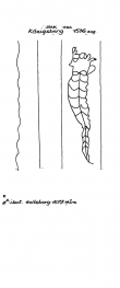 Wasserzeichen DE4620-PO-43329