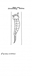 Wasserzeichen DE4620-PO-43333