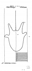 DE4620-PO-56350 - Typ:1 - ID: 38152 - Eintrag Nr.: 42 Wasserzeichen DE4620-PO-56350