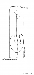 Wasserzeichen DE4620-PO-57007