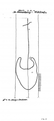 Wasserzeichen DE4620-PO-57032