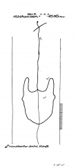 Wasserzeichen DE4620-PO-58023