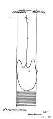 Wasserzeichen DE4620-PO-58078