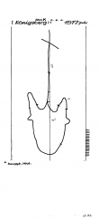 Wasserzeichen DE4620-PO-58514