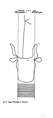 Wasserzeichen DE4620-PO-63627