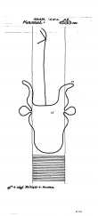 DE4620-PO-63630 - Typ:1 - ID: 38331 - Eintrag Nr.: 11 Wasserzeichen DE4620-PO-63630
