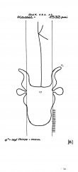 DE4620-PO-63641 - Typ:1 - ID: 38334 - Eintrag Nr.: 14 Wasserzeichen DE4620-PO-63641