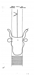 DE4620-PO-63646 - Typ:1 - ID: 38335 - Eintrag Nr.: 15 Wasserzeichen DE4620-PO-63646