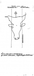 DE4620-PO-71653 - Typ:1 - ID: 39082 - Eintrag Nr.: 51 Wasserzeichen DE4620-PO-71653