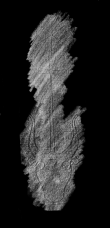 DE4860-Ms1591_61 - Typ:0 - ID: 42546 - Eintrag Nr.: 90 Wasserzeichen DE4860-Ms1591_61