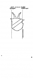 DE5040-PO-23617 - Typ:1 - ID: 43122 - Eintrag Nr.: 2 Wasserzeichen DE5040-PO-23617