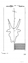 DE5040-PO-61552 - Typ:1 - ID: 43247 - Eintrag Nr.: 8 Wasserzeichen DE5040-PO-61552