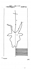 DE5040-PO-61561 - Typ:1 - ID: 43248 - Eintrag Nr.: 9 Wasserzeichen DE5040-PO-61561