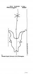 DE5040-PO-62884 - Typ:1 - ID: 43256 - Eintrag Nr.: 49 Wasserzeichen DE5040-PO-62884
