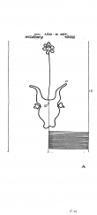 DE5040-PO-63087 - Typ:1 - ID: 43261 - Eintrag Nr.: 2 Wasserzeichen DE5040-PO-63087