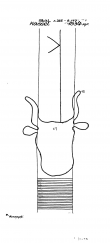 DE5040-PO-63626 - Typ:1 - ID: 43271 - Eintrag Nr.: 17 Wasserzeichen DE5040-PO-63626