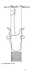 DE5040-PO-63635 - Typ:1 - ID: 43272 - Eintrag Nr.: 18 Wasserzeichen DE5040-PO-63635
