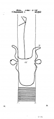 DE5040-PO-63636 - Typ:1 - ID: 43273 - Eintrag Nr.: 19 Wasserzeichen DE5040-PO-63636