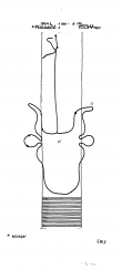 DE5040-PO-63638 - Typ:1 - ID: 43275 - Eintrag Nr.: 21 Wasserzeichen DE5040-PO-63638