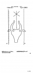 DE5205-PO-67801 - Typ:1 - ID: 43427 - Eintrag Nr.: 29 Wasserzeichen DE5205-PO-67801