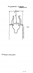 DE5250-PO-67721 - Typ:1 - ID: 43470 - Eintrag Nr.: 31 Wasserzeichen DE5250-PO-67721