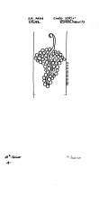 DE5400-PO-129401 - Typ:1 - ID: 43584 - Eintrag Nr.: 1 Wasserzeichen DE5400-PO-129401