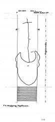 Wasserzeichen DE5400-PO-56716