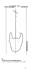Wasserzeichen DE5400-PO-58028